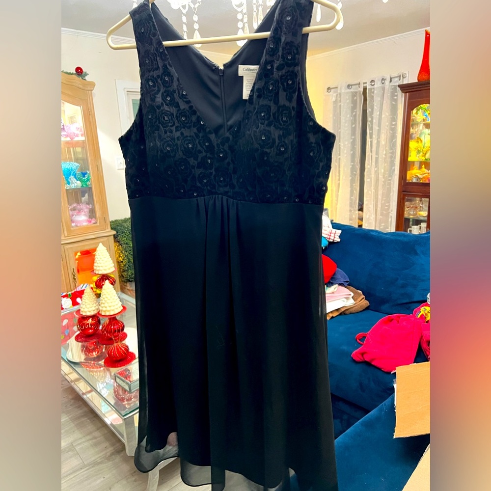 Coldwater Creek embroidered dress ~ size 14P